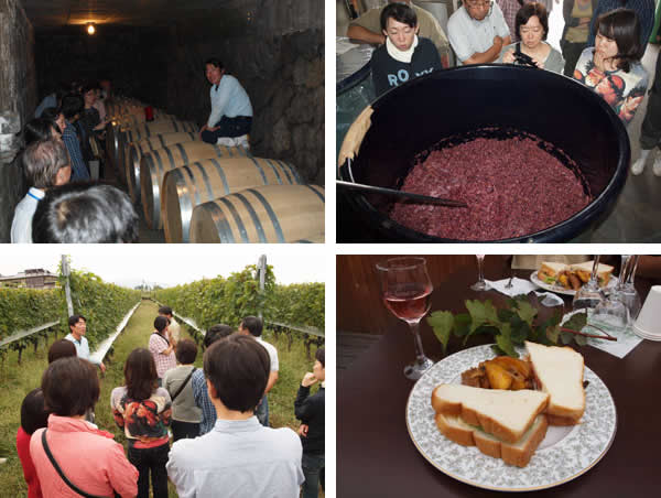 左上：ワインセラー　右上：発酵途中のブドウ　左下：自社農園　右下：敷地内にあるレストラン『ラ・カシータ』での食事とワイン