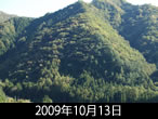 こがね色の落葉松定点2009年10月13日