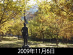 佐和子さんの秋定点2009年11月6日