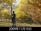 佐和子さんの秋定点2009年11月10日