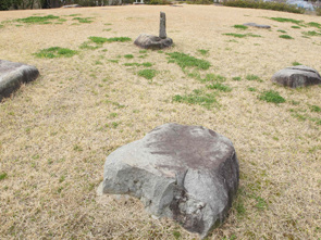 国分尼寺金堂跡の礎石