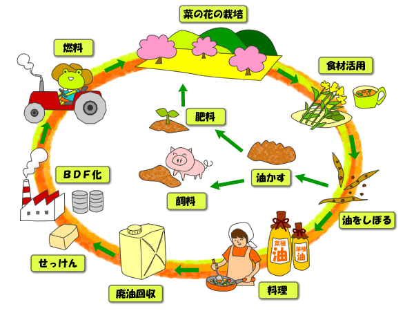 菜の花プロジェクトの模式図