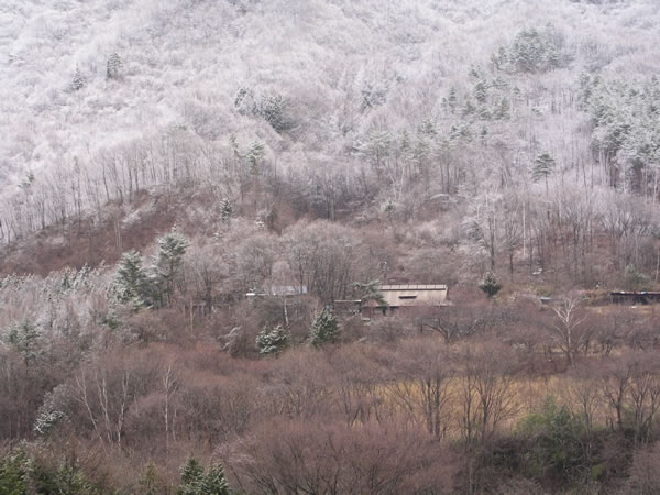 籐野木の山は白く凍り付いていました